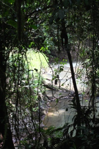 La Selva Biological Reserve