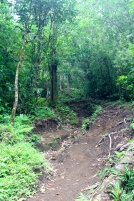 Cerro Chato hike - fails to display how steep this is!