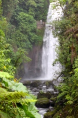 La Paz Waterfall Gardens