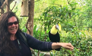 Getting friendly with a Chestnut Mandibald Toucan