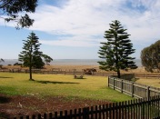 Phillip Island near Melbourne